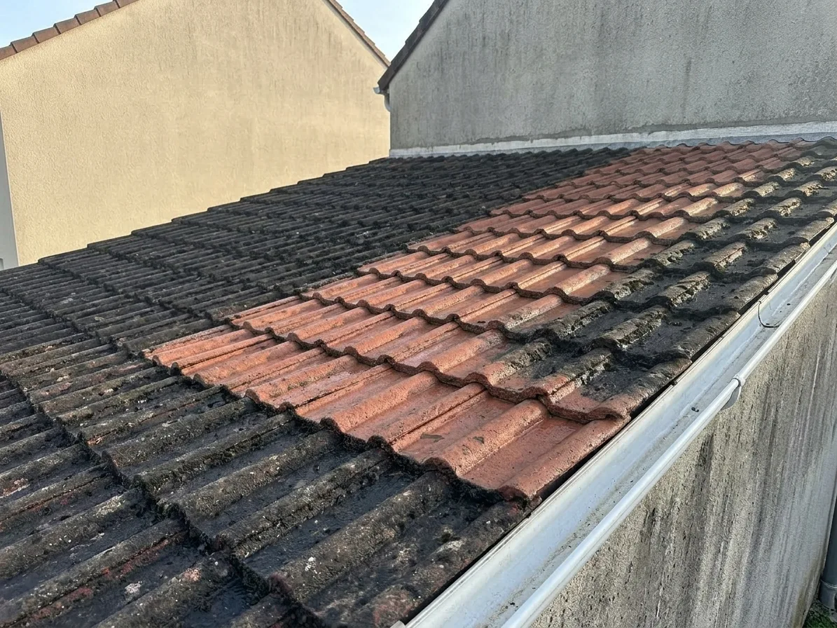 Démoussage de toiture à Meaux
